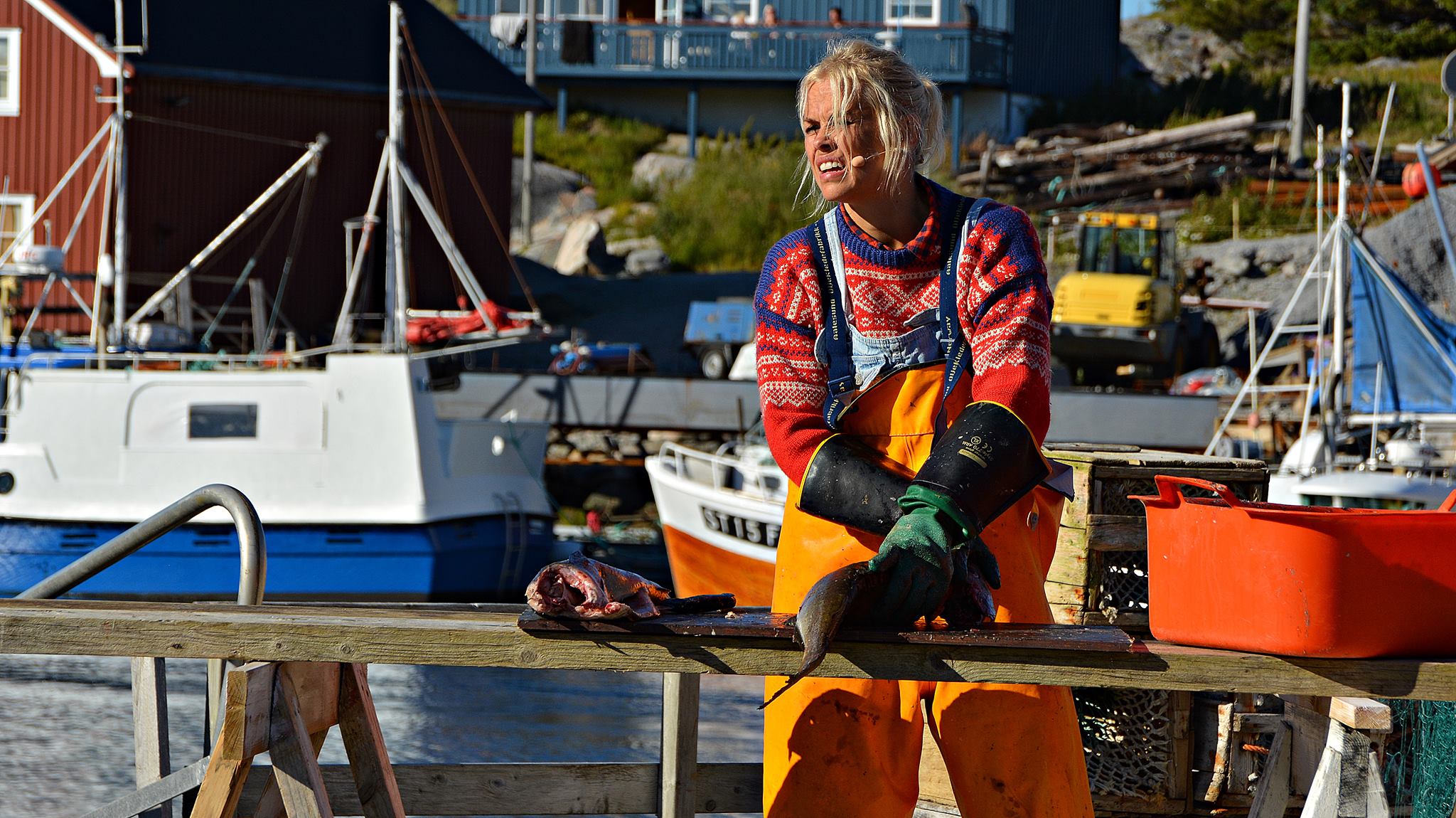 Øyhopping og opplevelser Frøya