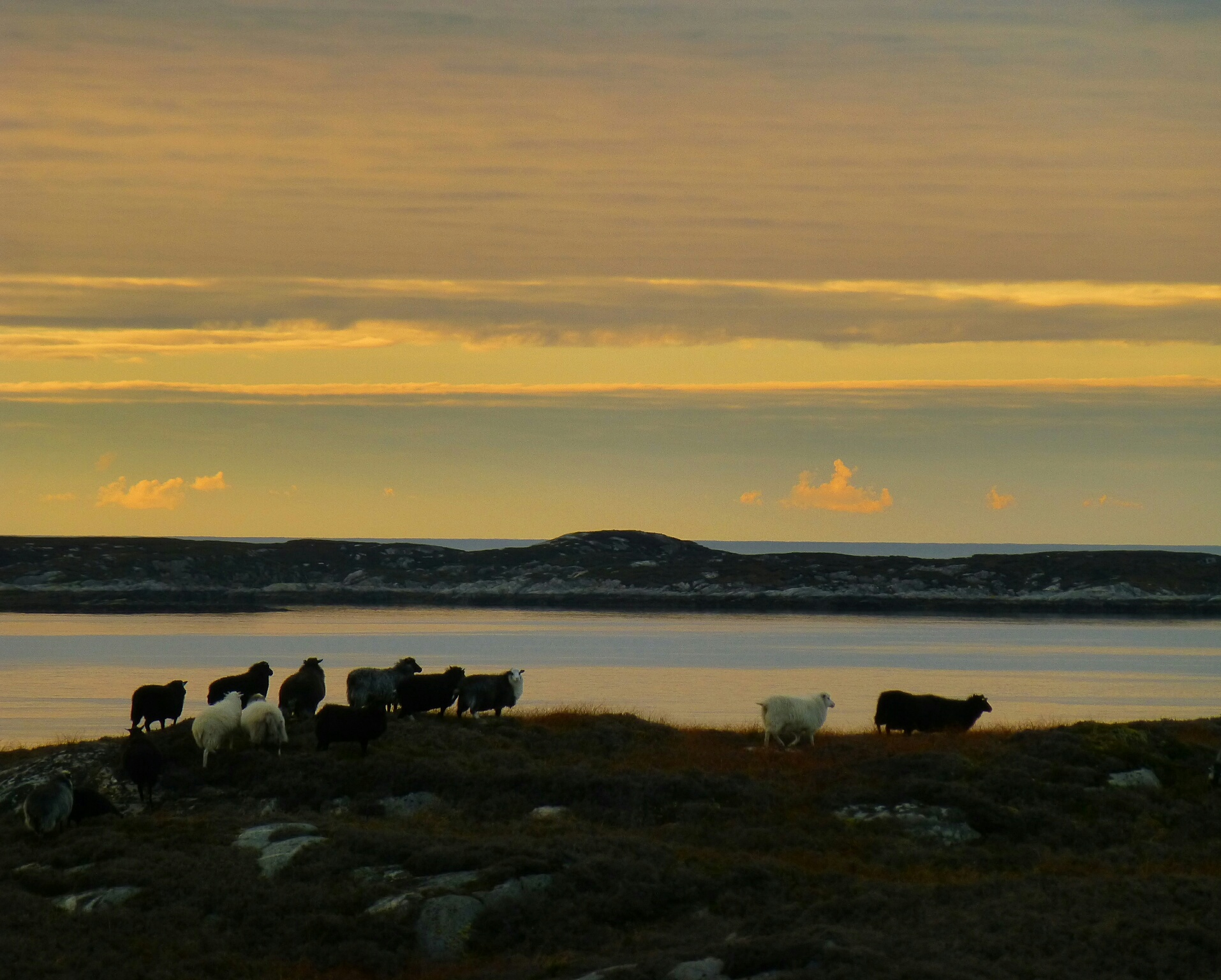 Øyhopping og opplevelser Frøya