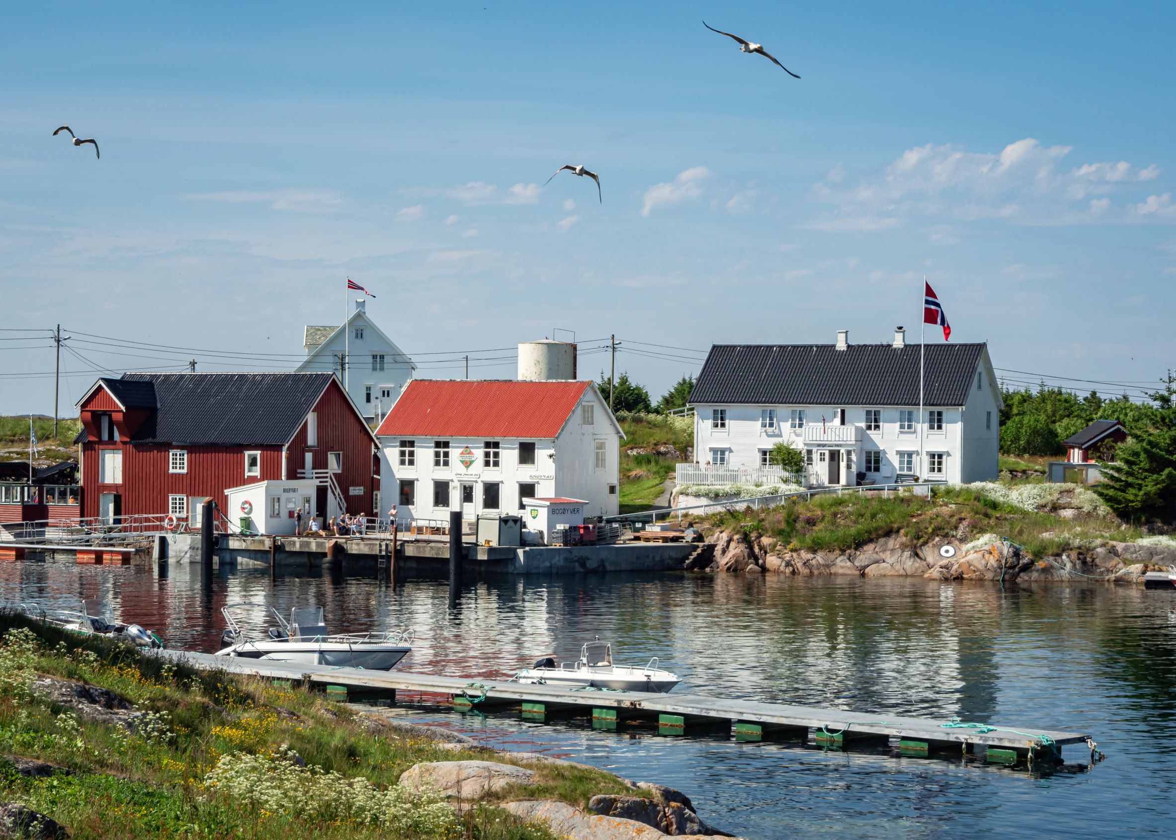 Bogøya i Frøyas skjærgård. Prøv en workation i havgapet!