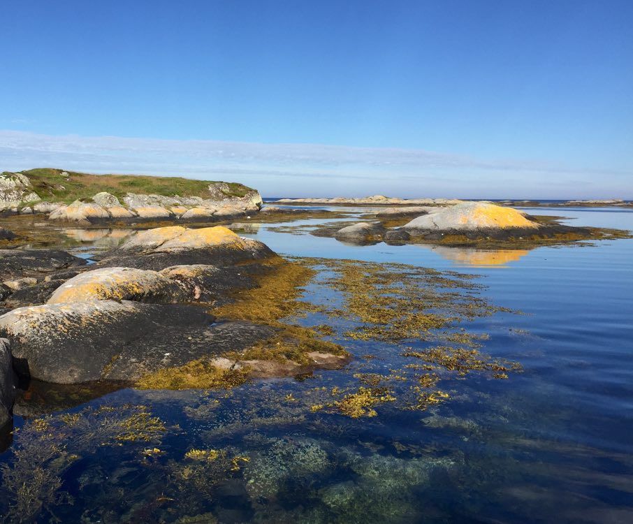 Skjærgårdssafari Frøya