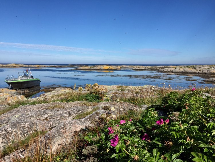 Skjærgårdsidyll Frøya