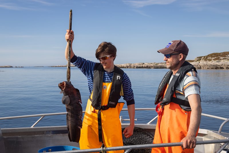 Sportfischen auf Bogøya, dem Archipel von Ftøya an der Küste von Trøndelag in Norwegen