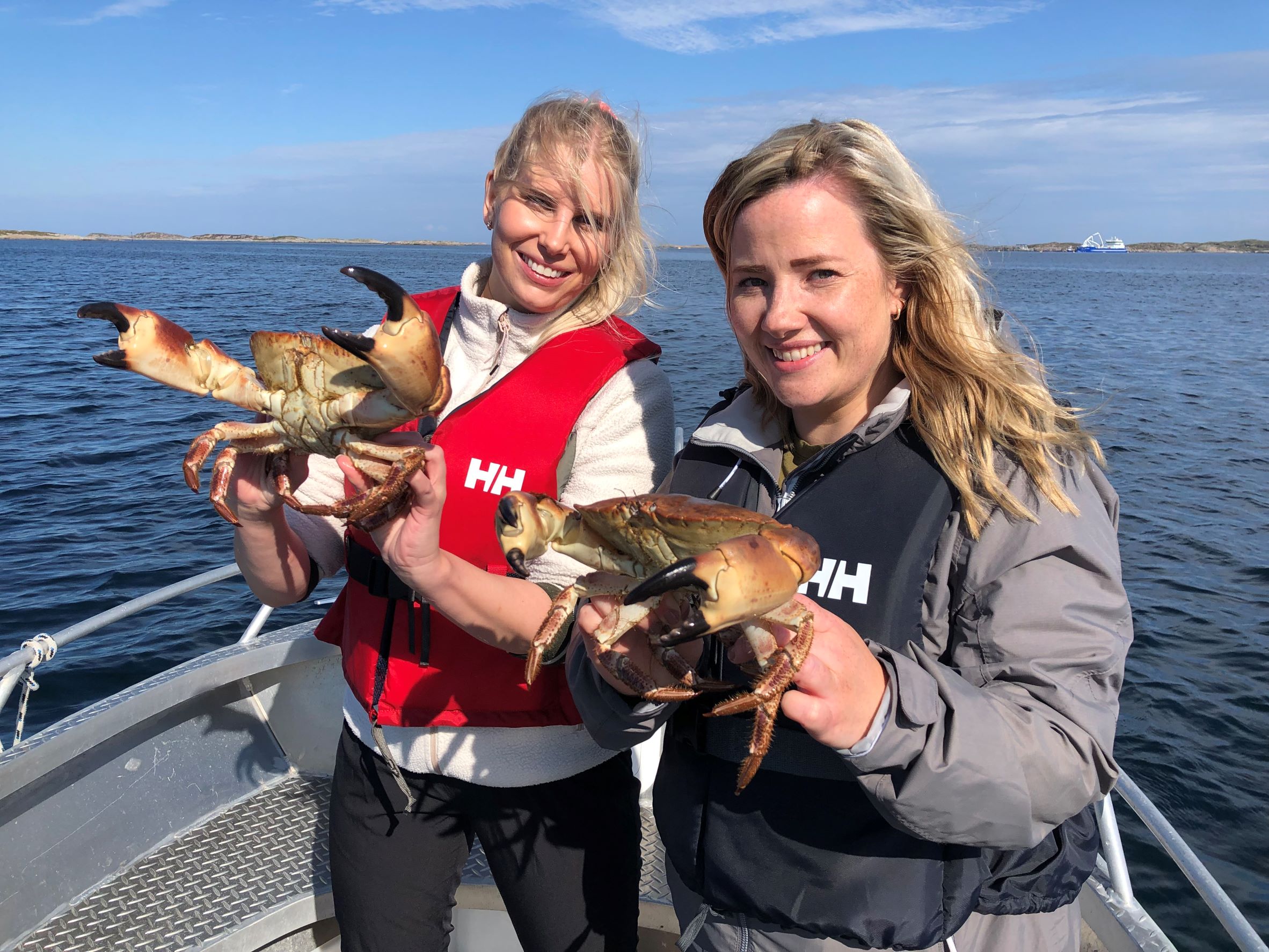 Krabbefiske på Bogøya i Øyrekka