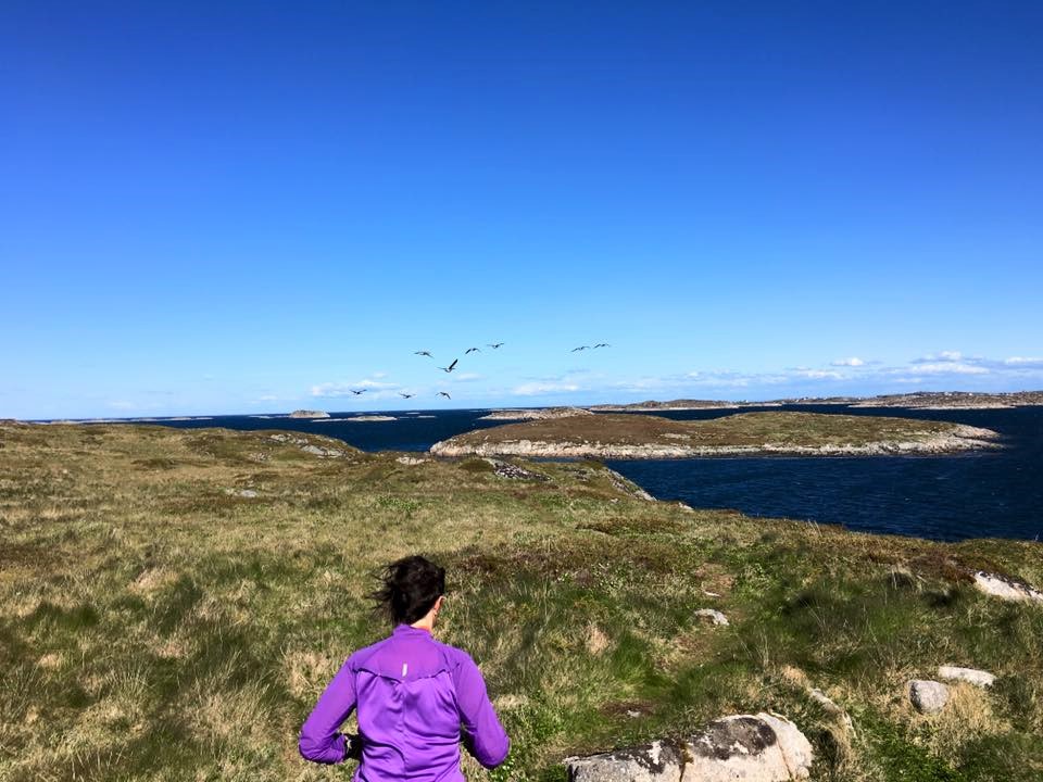 Workation og slow living på Bogøya i Frøya kommune.