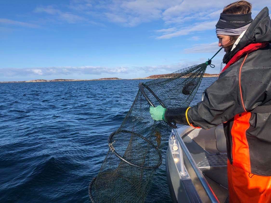 Vinterfiske på Frøya